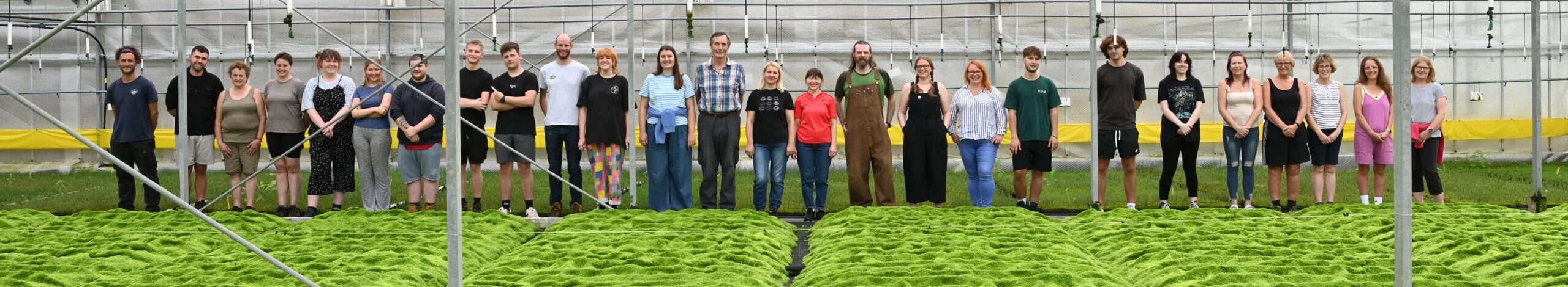 Members of the BeadaMoss team standing in a line.