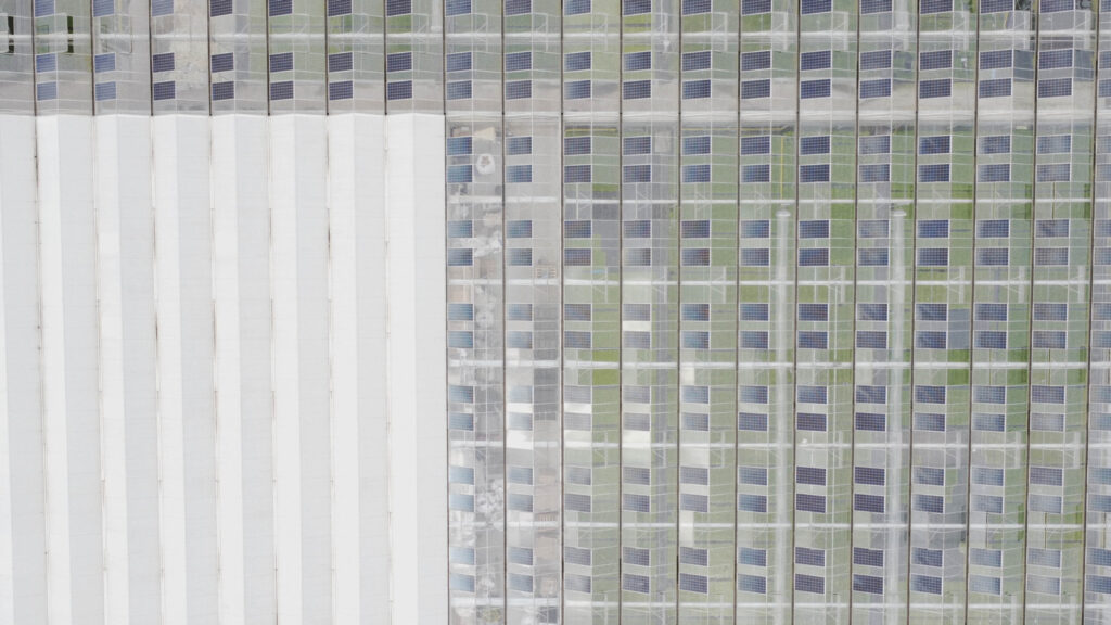 A bird's eye view of solar panels on the BeadaMoss greenhouse.