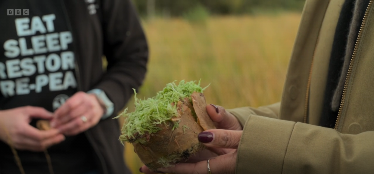 BeadaHumok® Sphagnum plugs showcased on CountryFile