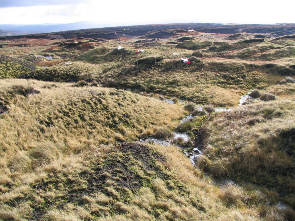 A landscape shot of a moorland.