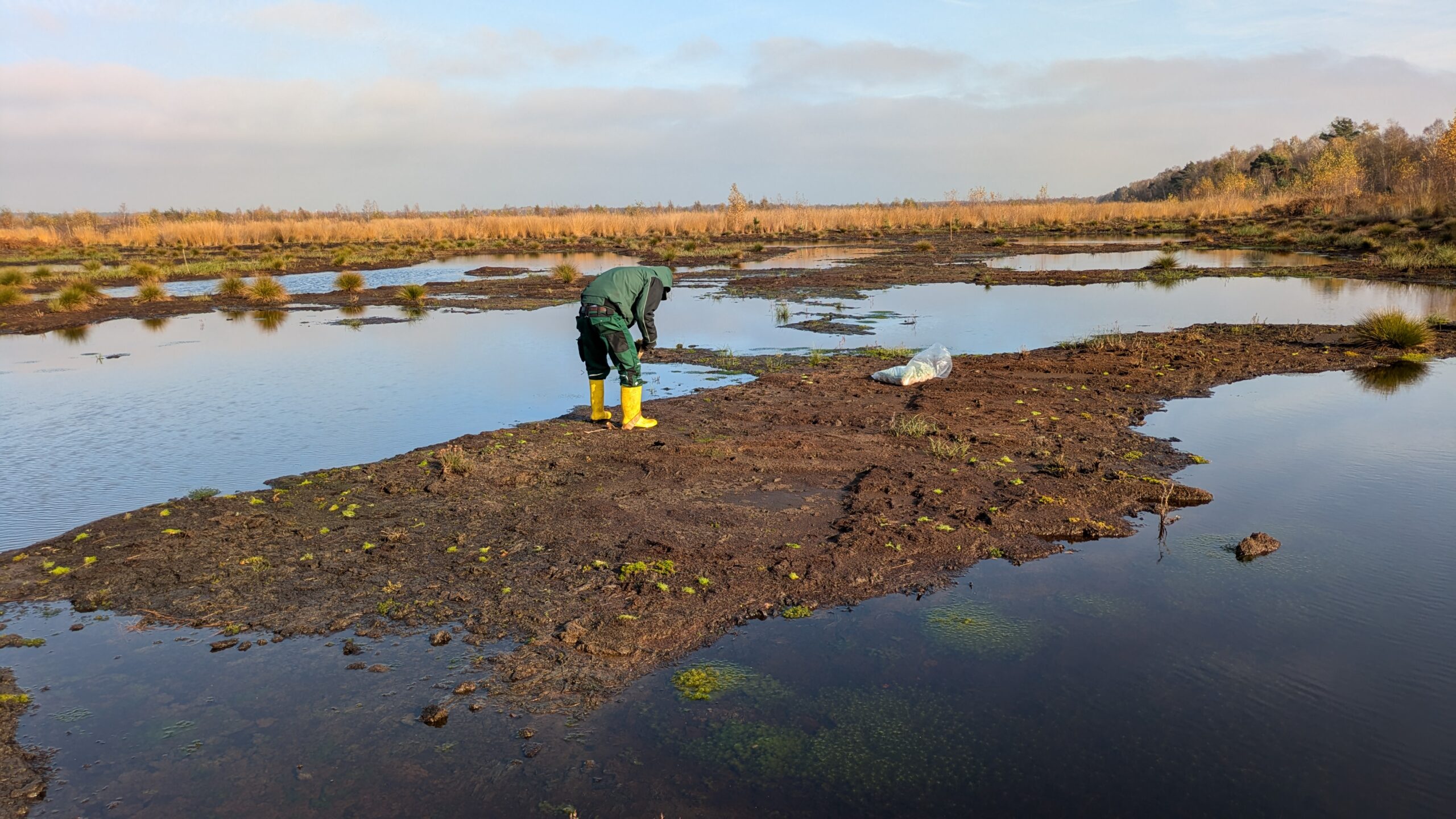 Case Study: BeadaHumok® supplied to Region Hannover for Totes Moor, Germany